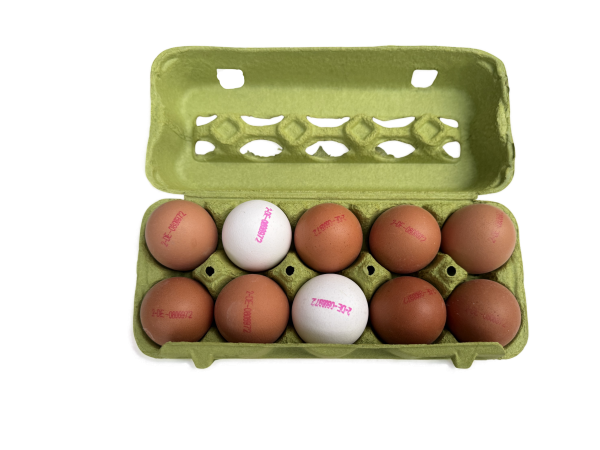 Bio-Eier vom Geflügelhof Ruh